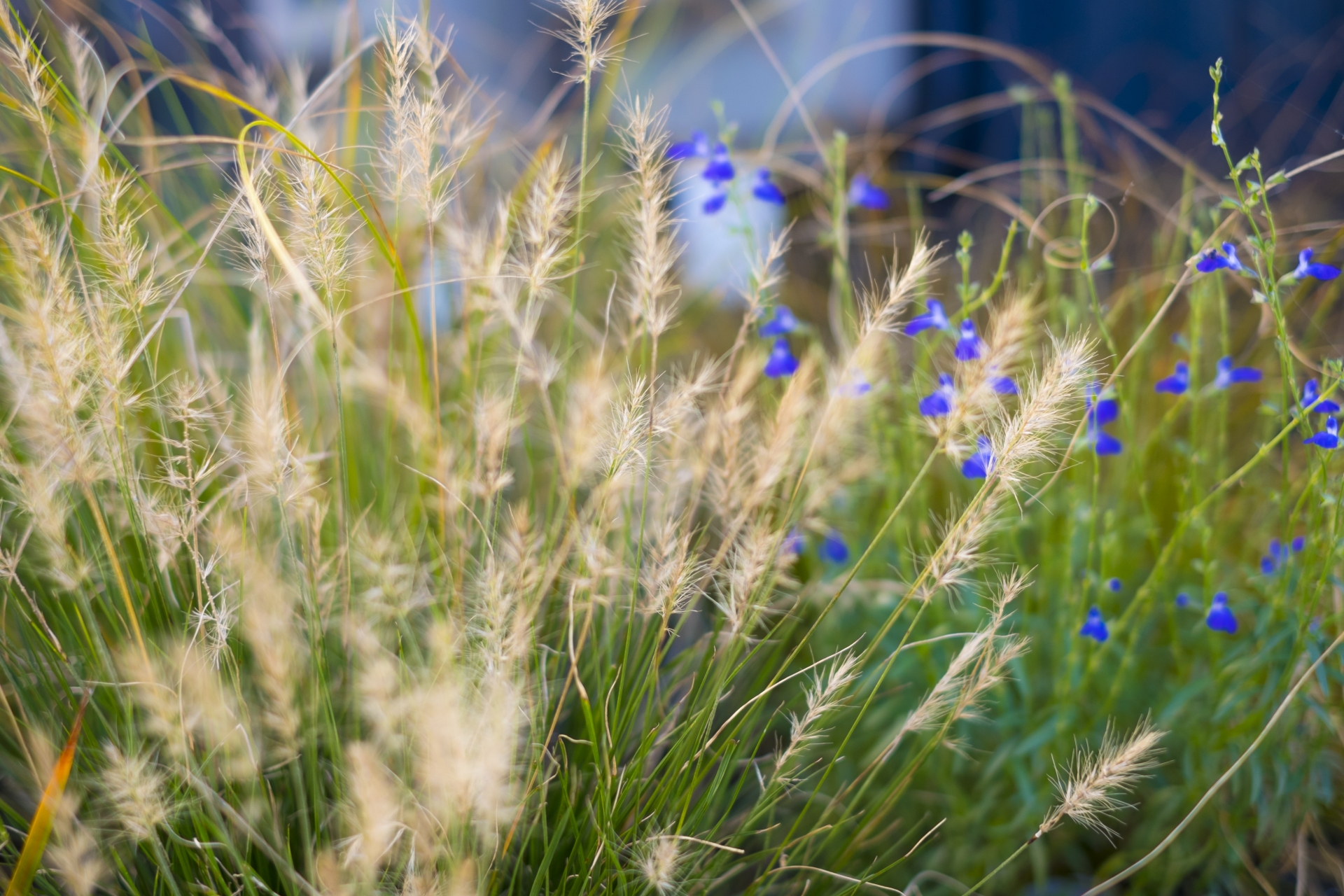 新着情報 ブログ 新着情報 ブログ 香川県 高松市 エクステリア 外構 Adg アルテデザインガーデン