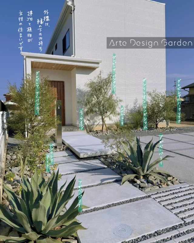 .
建築と植物が主役。

窓のない白い外壁が印象的な住まいに
輪郭のはっきりしたアガベや
オージープランツを合わせました。

シャープで構築的な葉姿に
ふわっと繊細な葉を重ねて。

要素を増やしすぎず
質感の違いで景色に変化をつけています。

外構の構造物は控えめに。

その中でも、
玄関ポーチはあえて手前へ延ばし
フローティングステップで
平坦な敷地に立体感を生み出しました。

土間は色味をおさえ
余分なラインをそぎ落とすことで
建築と植物がより引き立つ足元に。

控えめな外構にも
全体の印象を支える役割を持たせています。
　
▷ADGの様々な施工事例をみたい方は
プロフィールのURLよりご覧ください。
@arte_design_garden

———————————
 
ADG Arte Design Garden inc.
アルテデザインガーデン株式会社
香川県高松市多肥上町1487-3-1階
tel.087.880.9797